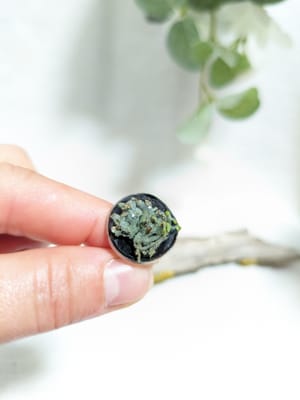 Inel reglabil, Botanical - Thumbnail 6